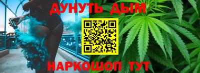 сатива Брянск